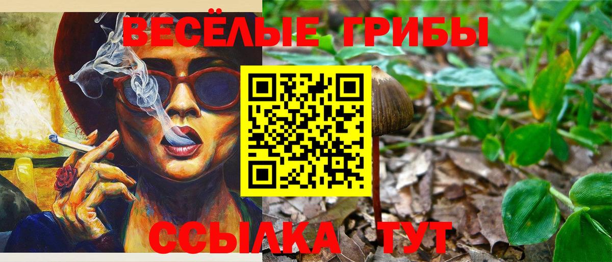 Псилоцибиновые грибы Psilocybine cubensis  Вход с VPN  Донской 